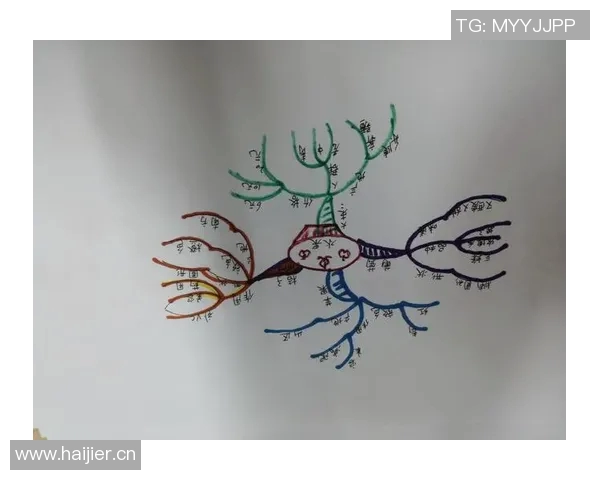 杭州排球队的灵活性探讨与训练策略分析 杭州排球队的灵活性探讨与训练策略分析